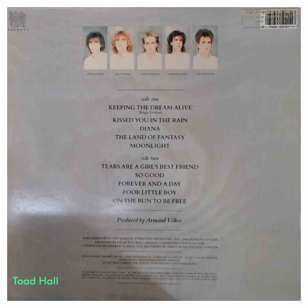 Freiheit - Fantasy (Promo Cover) - Used Vinyl