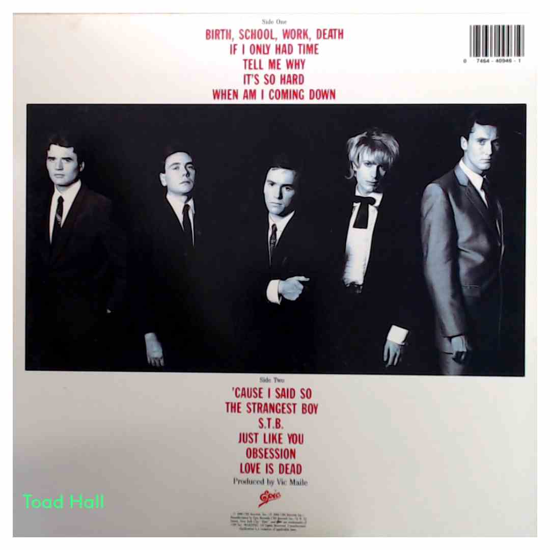 The Godfathers - Birth, School, Work, Death - Used Vinyl