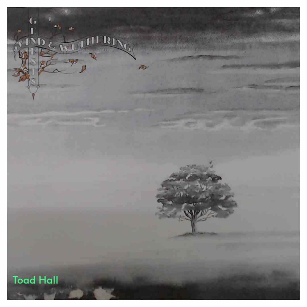 Genesis - Wind & Wuthering - Used Vinyl