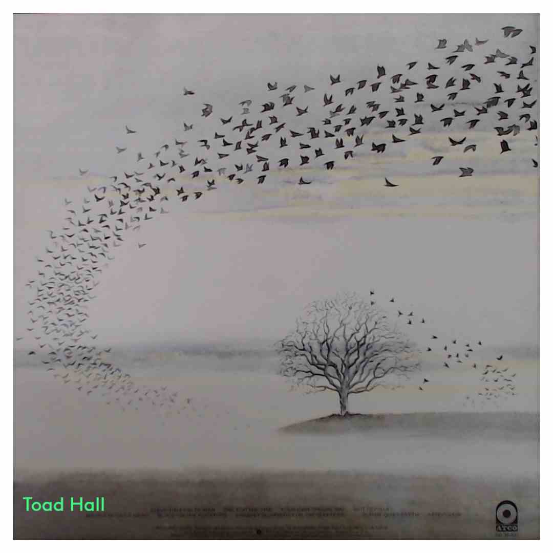 Genesis - Wind & Wuthering - Used Vinyl