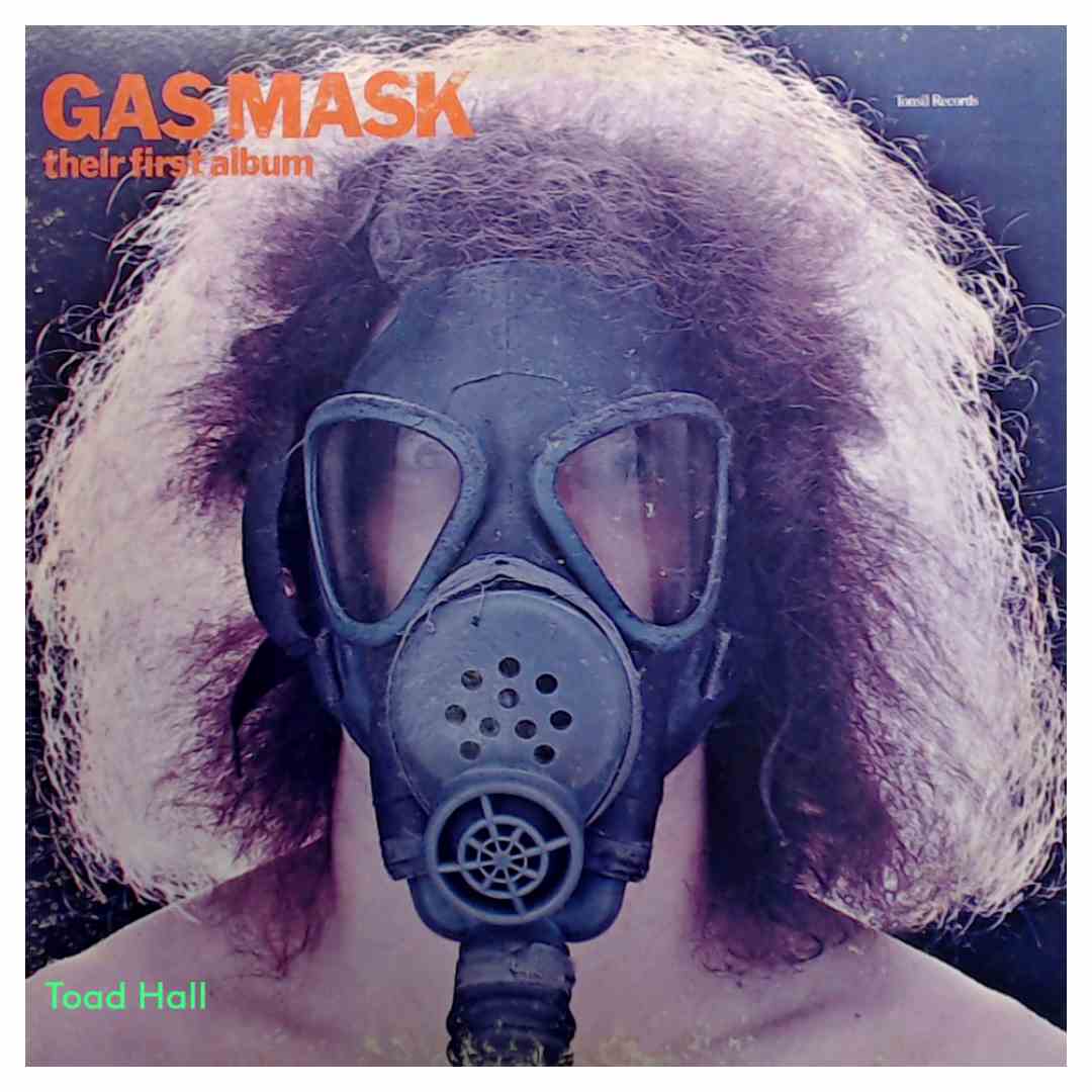 Gasmask - Their First Album - Used Vinyl
