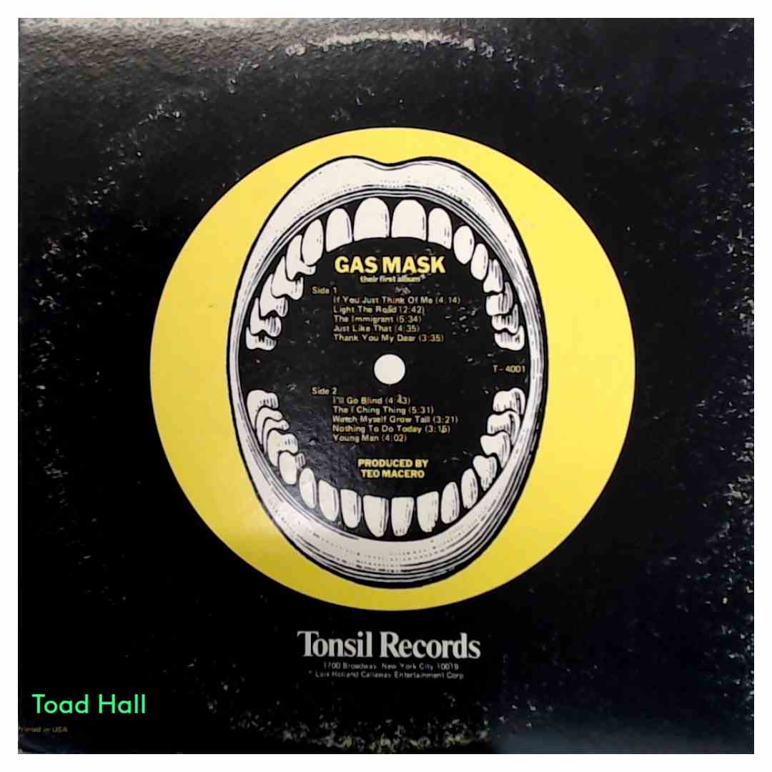 Gasmask - Their First Album - Used Vinyl