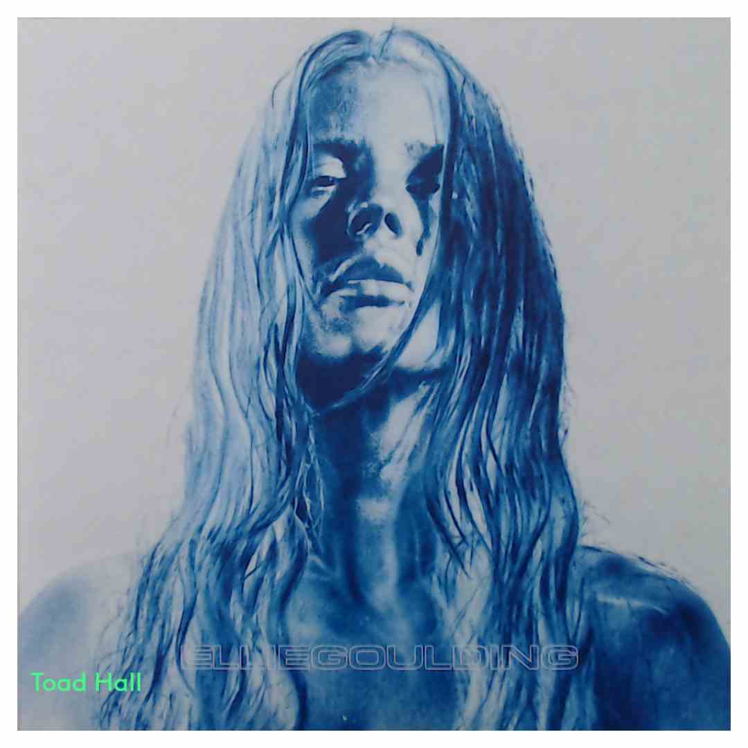 Ellie Goulding - Brightest Blue - Used Vinyl