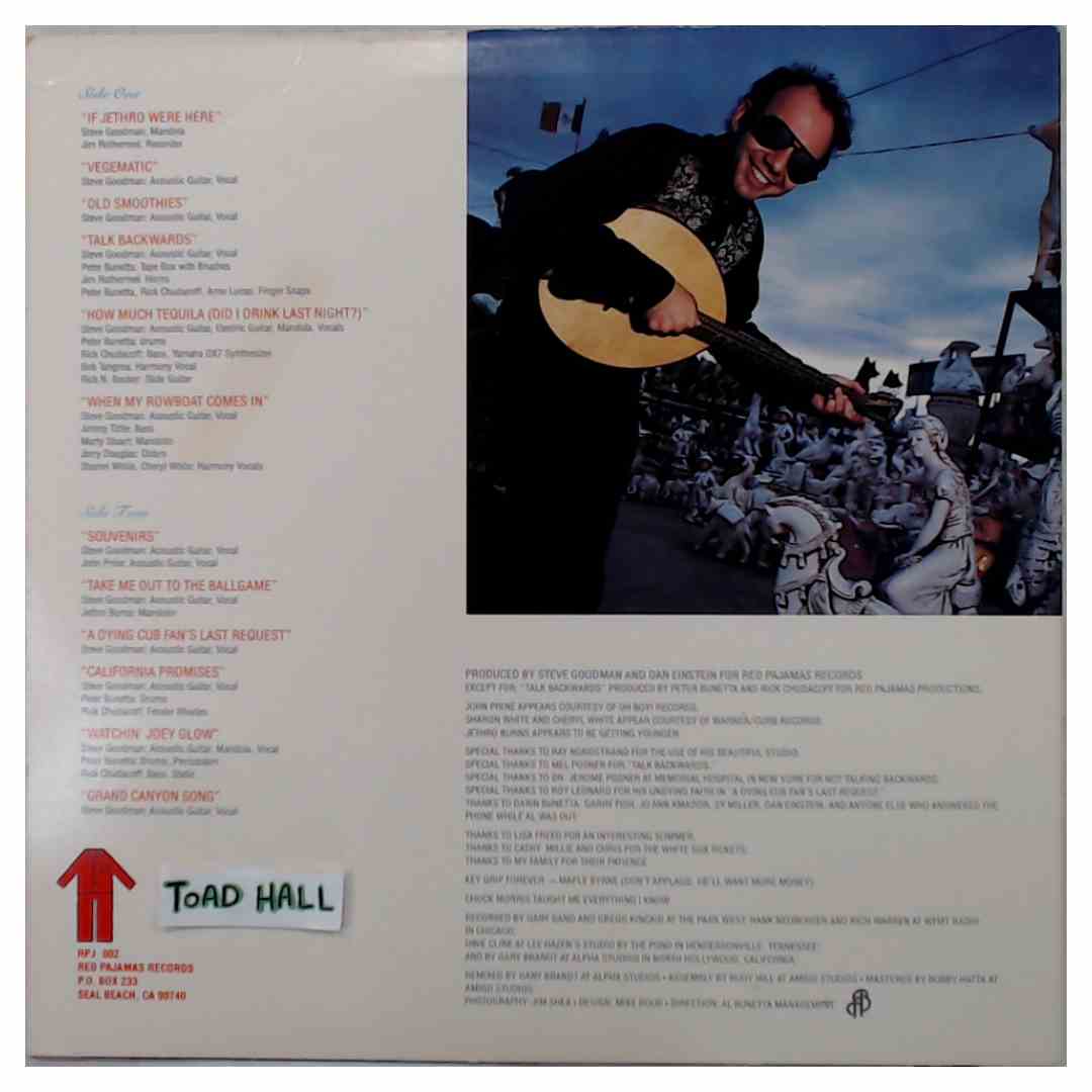 Steve Goodman - Affordable Art - Used Vinyl