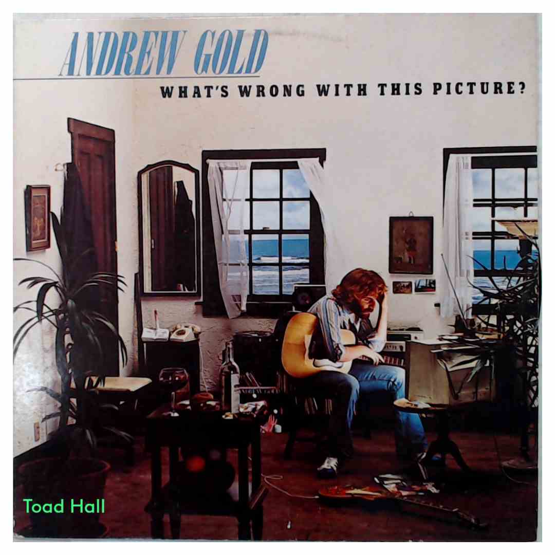 Andrew Gold - What's Wrong With This Picture? - Used Vinyl