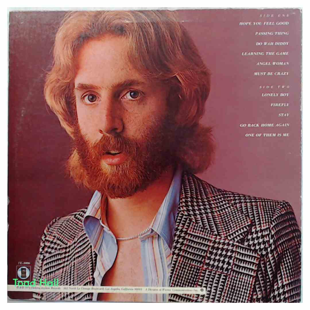 Andrew Gold - What's Wrong With This Picture? - Used Vinyl