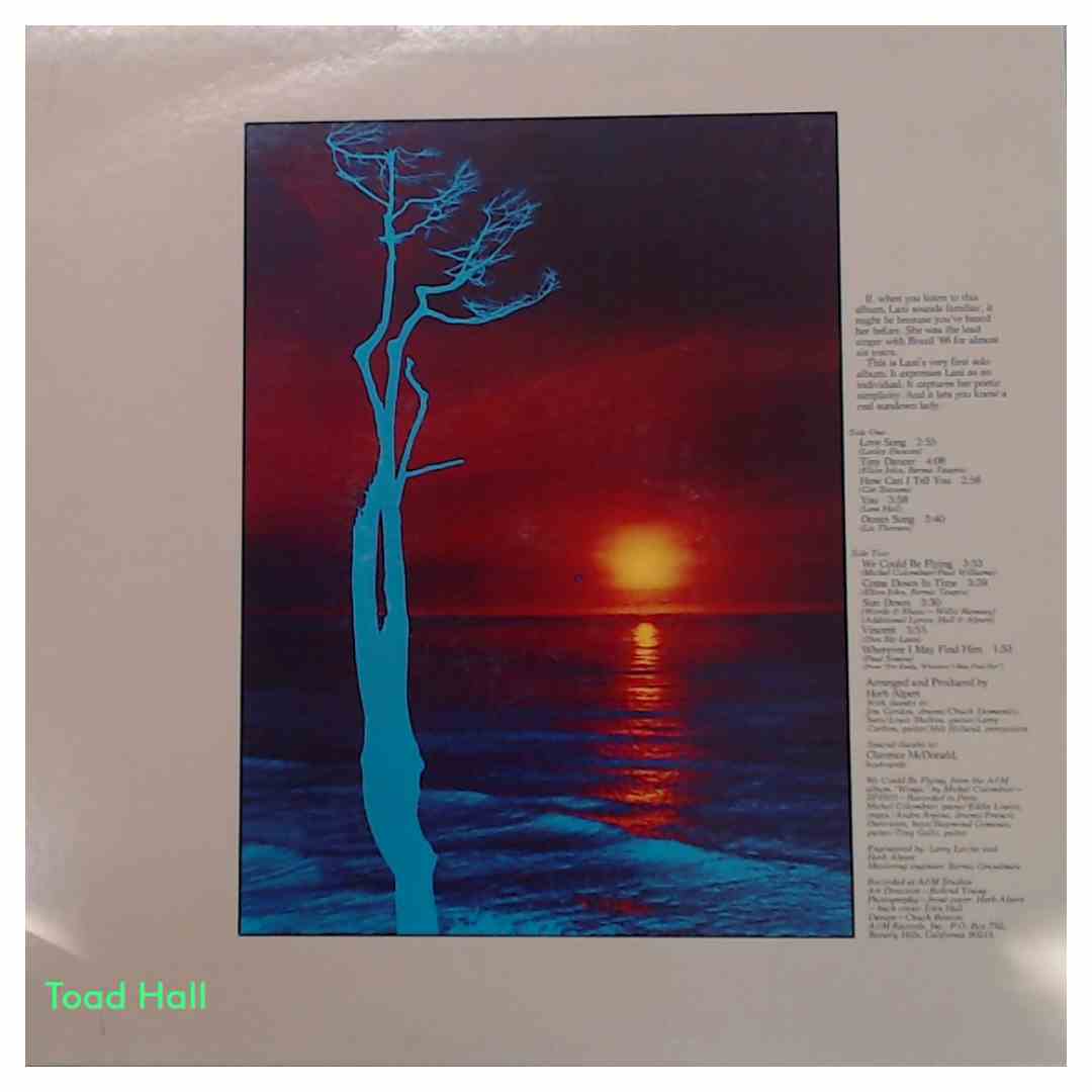 Lani Hall - Sun Down Lady - Used Vinyl