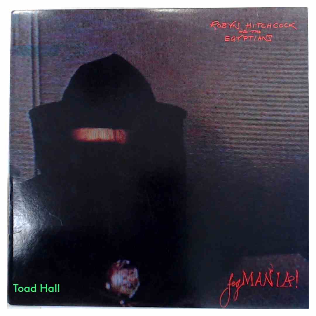 Robyn Hitchcock and The Egyptians - Fegmania! - Used Vinyl