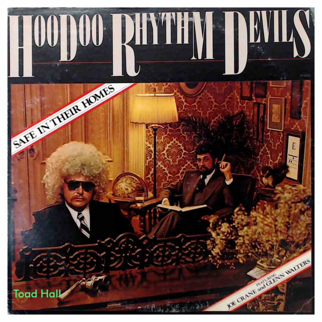 Hoodoo Rhythm Devils - Safe In Their Homes (Promo Cover) - Used Vinyl