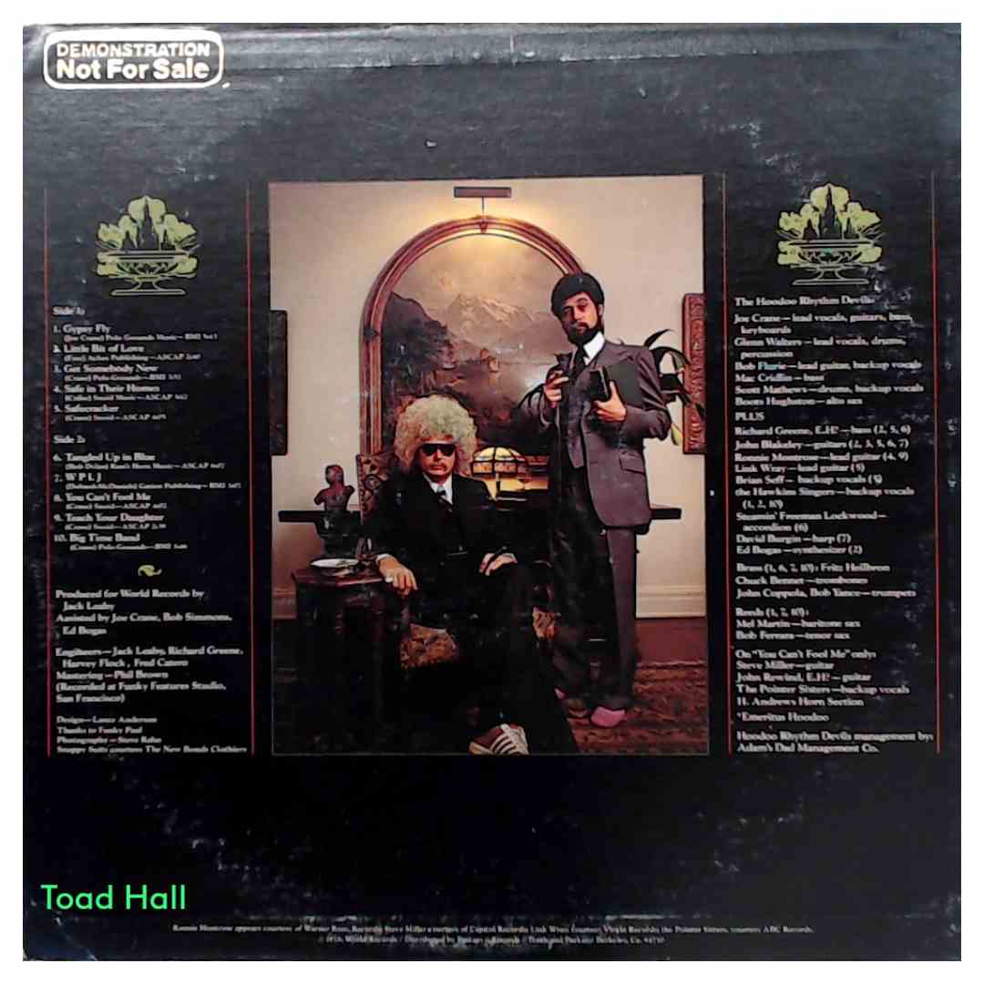 Hoodoo Rhythm Devils - Safe In Their Homes (Promo Cover) - Used Vinyl