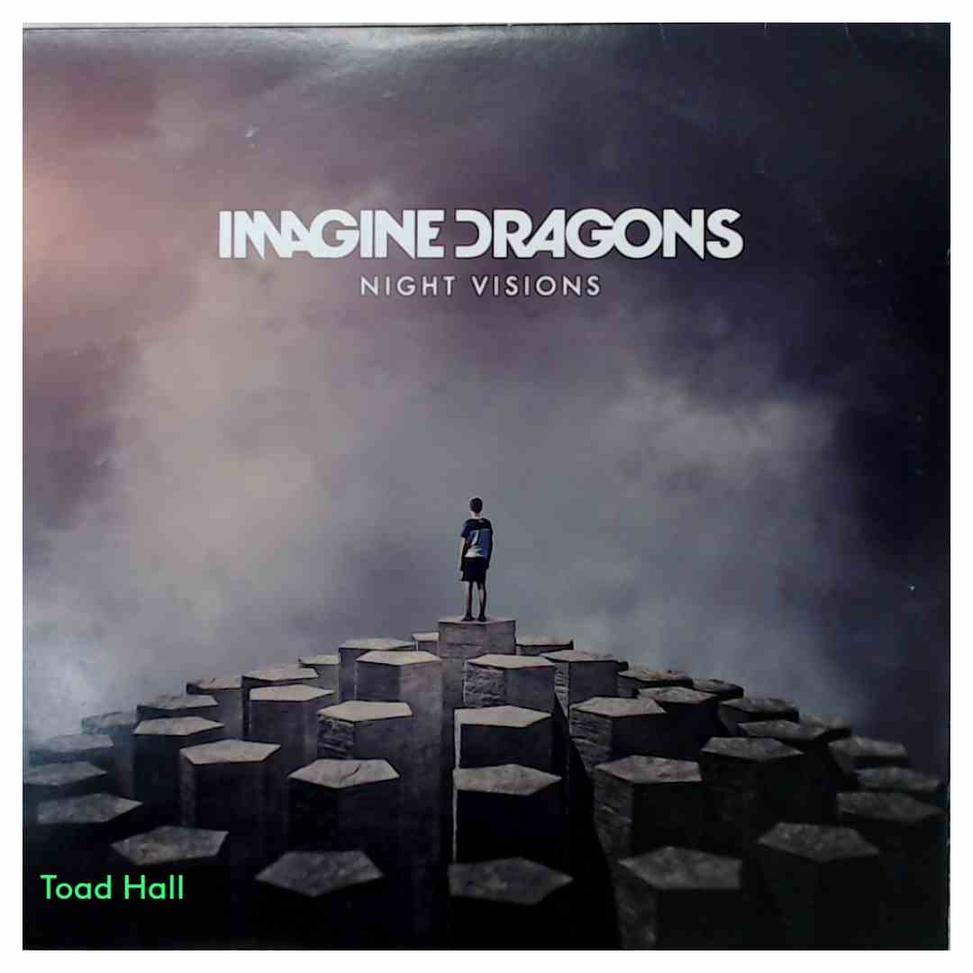 Imagine Dragons - Night Visions (Purple Vinyl) - Used Vinyl