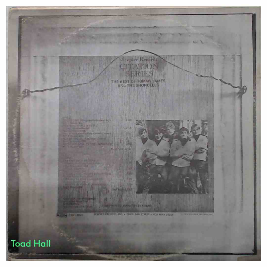 Tommy James and The Shondells - The Best Of Tommy James And The Shondells - Used Vinyl