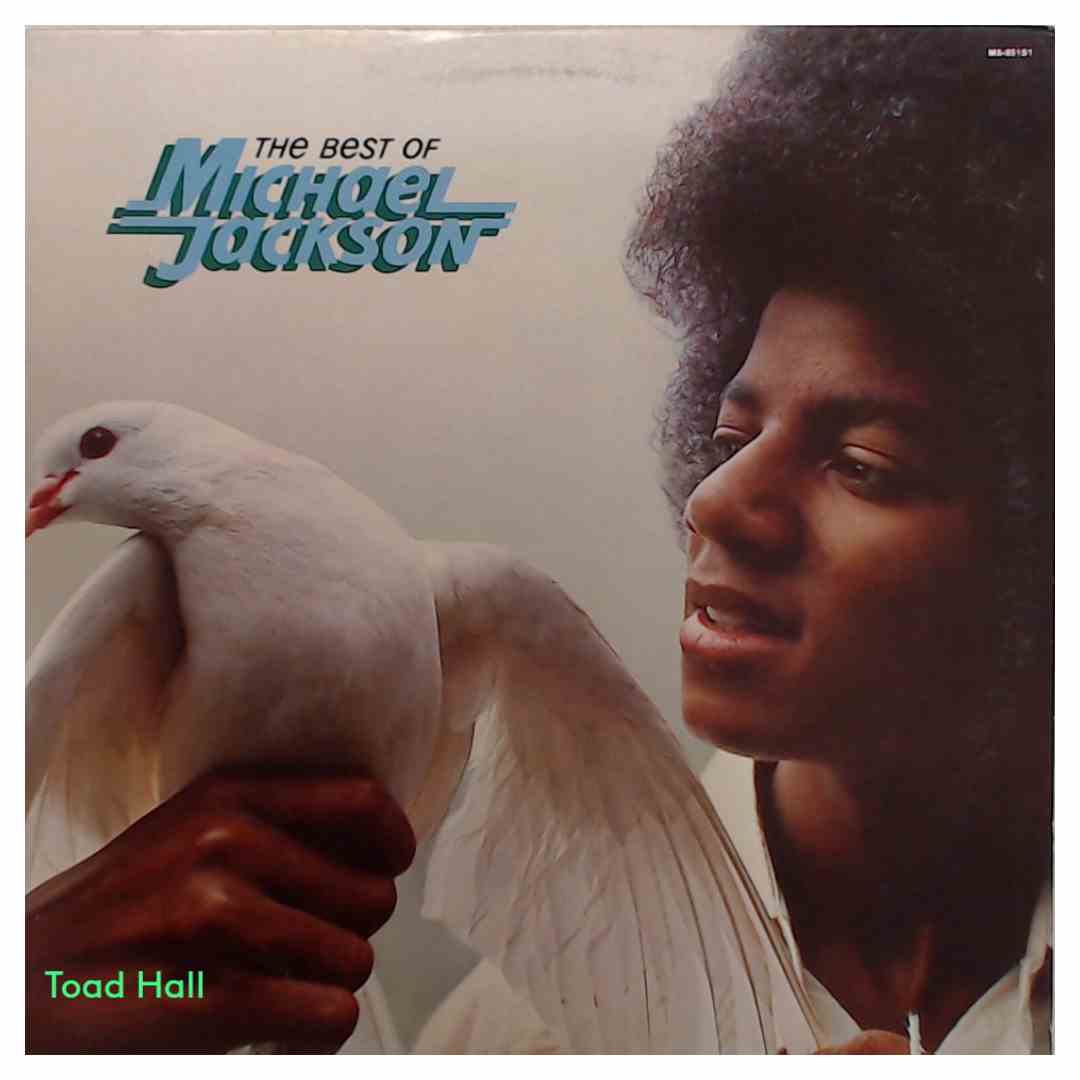 Michael Jackson - The Best Of Michael Jackson - Used Vinyl