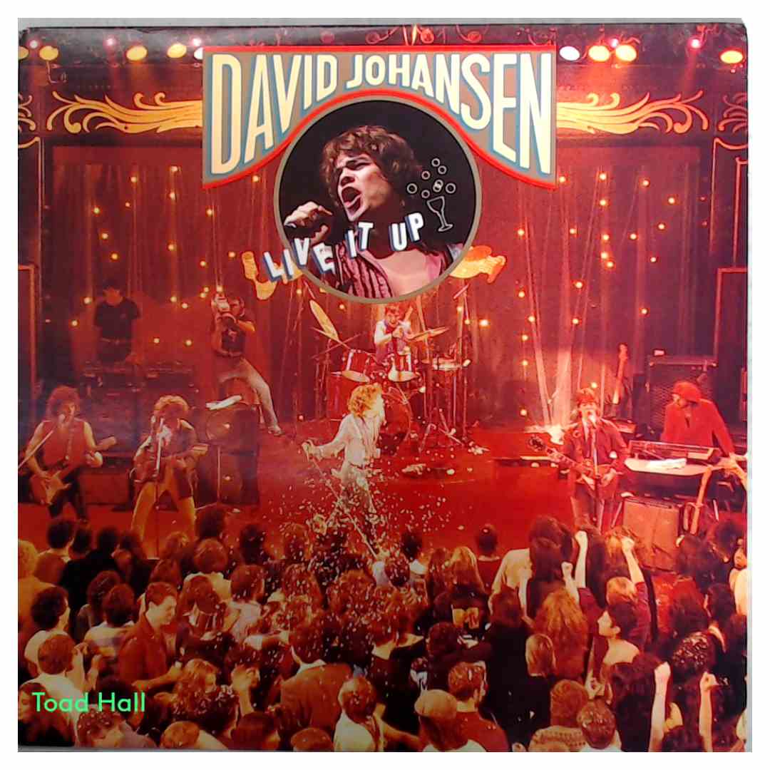 David Johansen - Live It Up - Used Vinyl