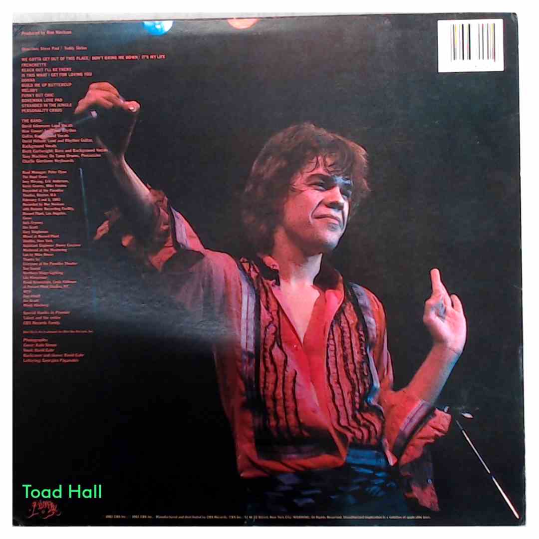 David Johansen - Live It Up - Used Vinyl