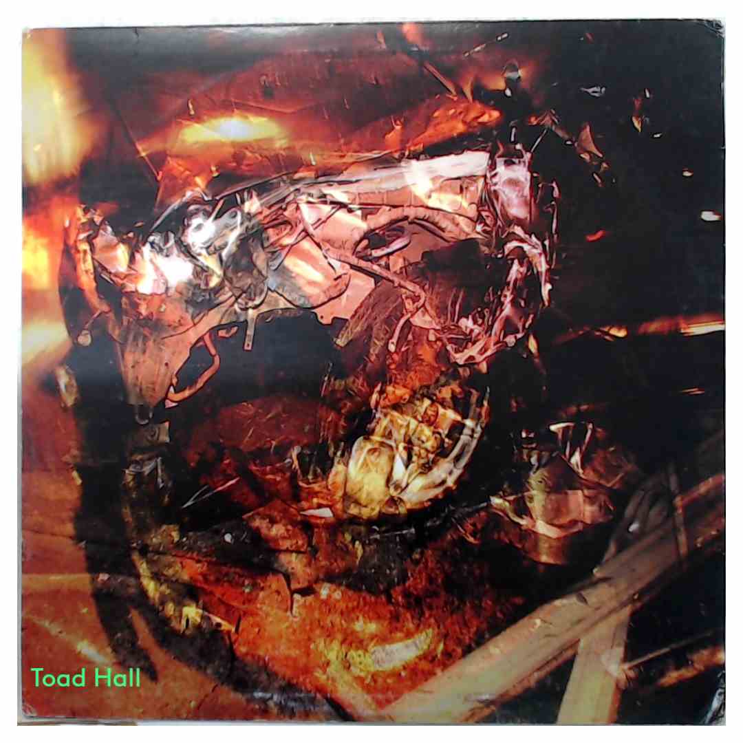 GX Jupitter-Larsen - Big Time Crash Bang 2008 - Used Vinyl