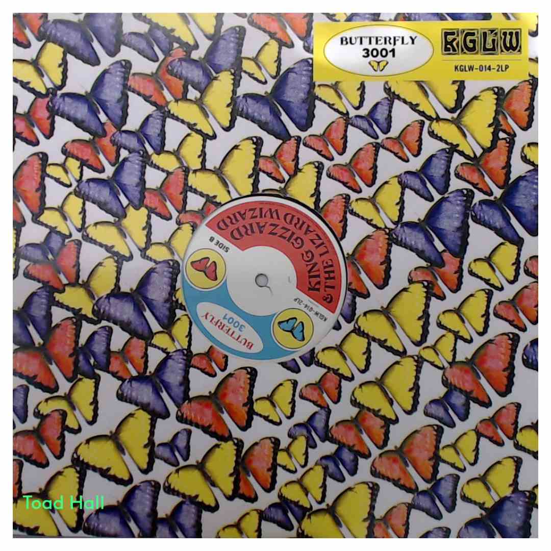 King Gizzard and the Lizard Wizard - Butterfly 3001 - Used Vinyl