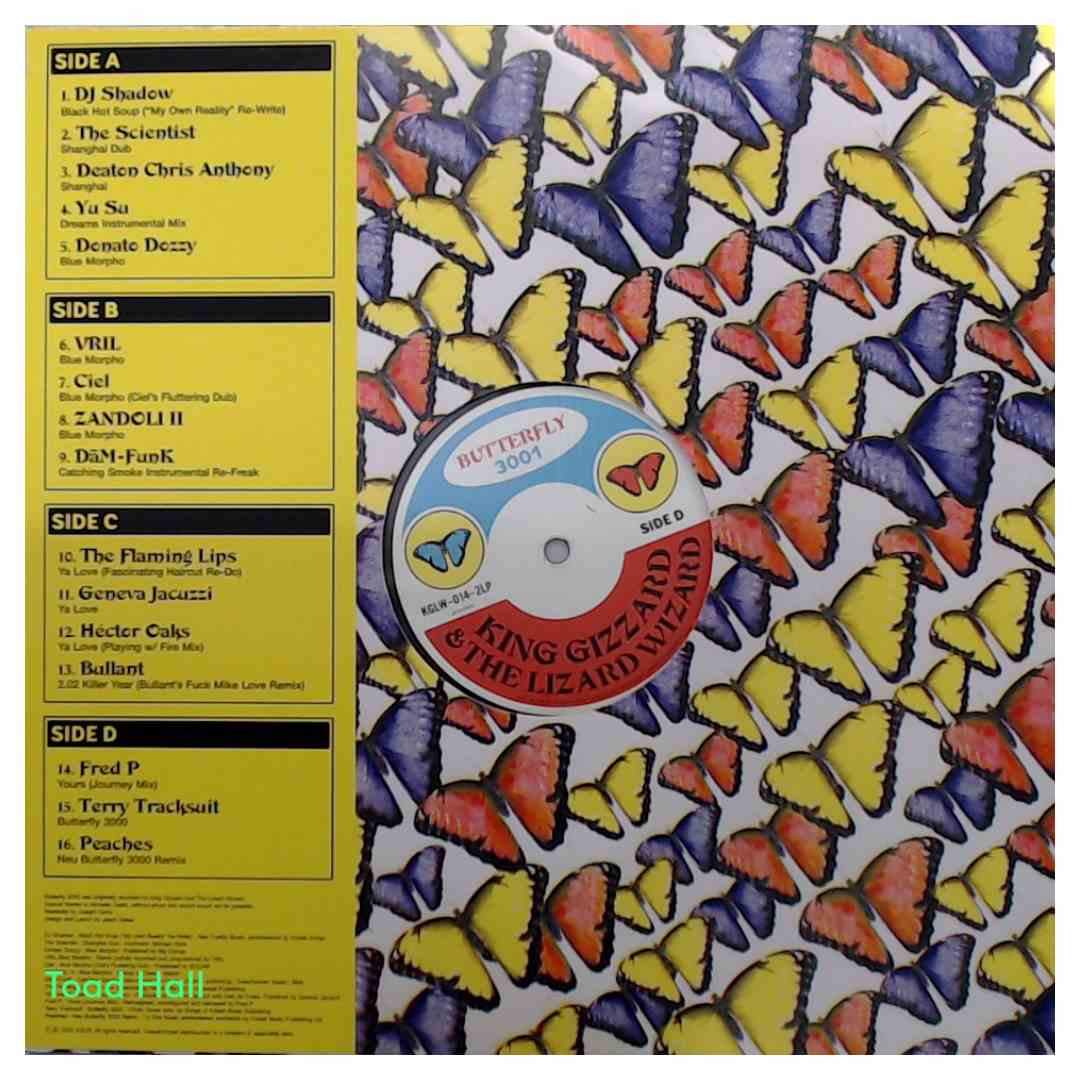 King Gizzard and the Lizard Wizard - Butterfly 3001 - Used Vinyl