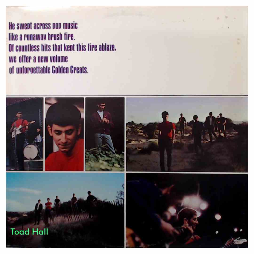 Gary Lewis And The Playboys - More Golden Greats - Used Vinyl