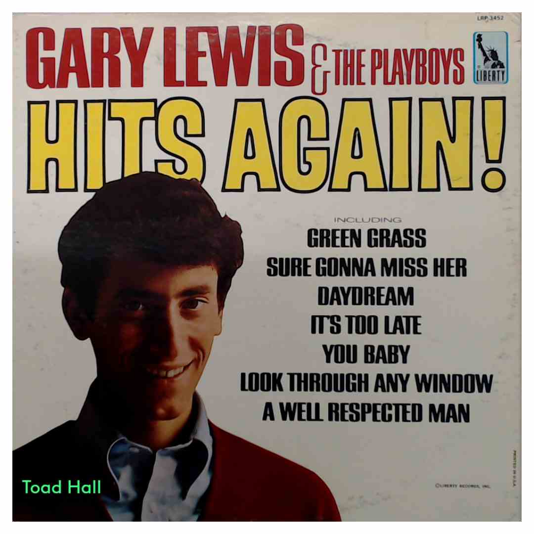 Gary Lewis and the Playboys - Hits Again - Used Vinyl