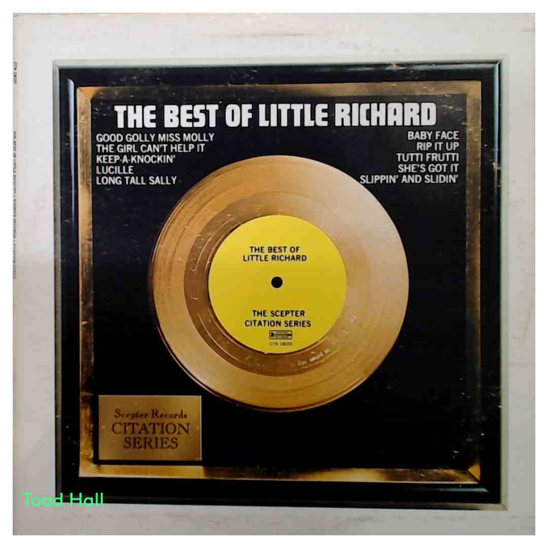 Little Richard - The Best of by Little Richard - Used Vinyl