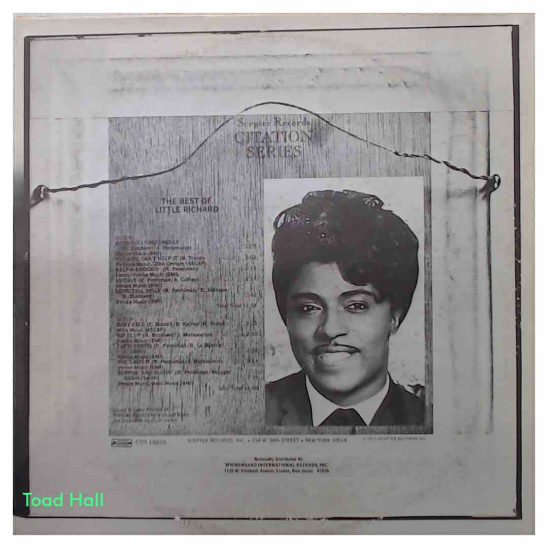 Little Richard - The Best of by Little Richard - Used Vinyl