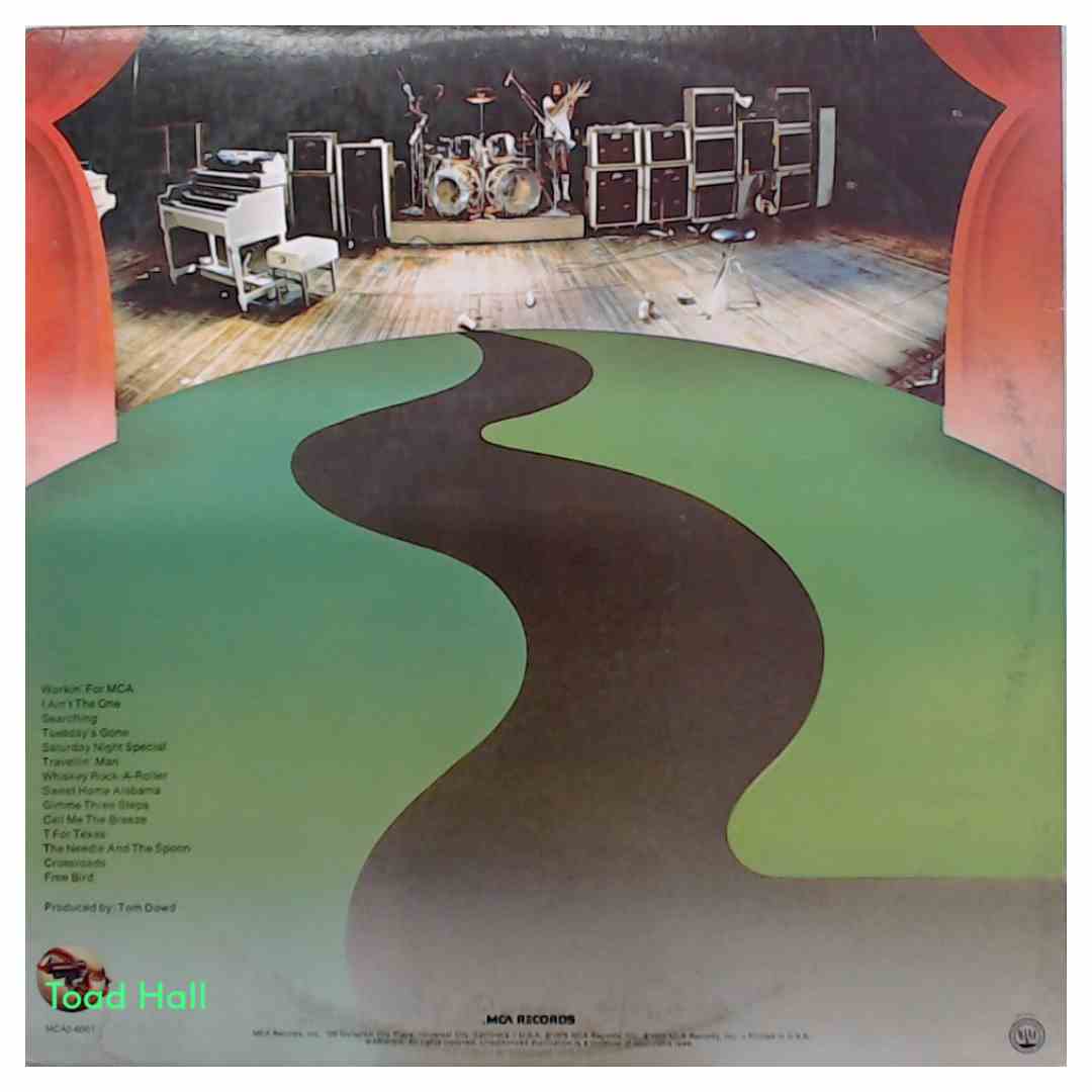 Lynyrd Skynyrd - One More From the Road - Used Vinyl