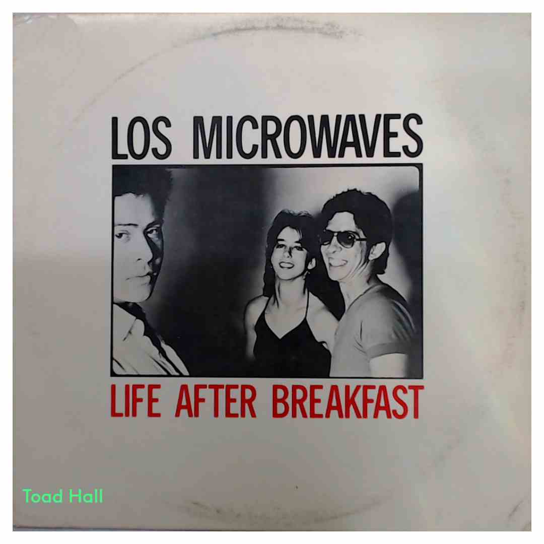 Los Microwaves - Life After Breakfast - Used Vinyl