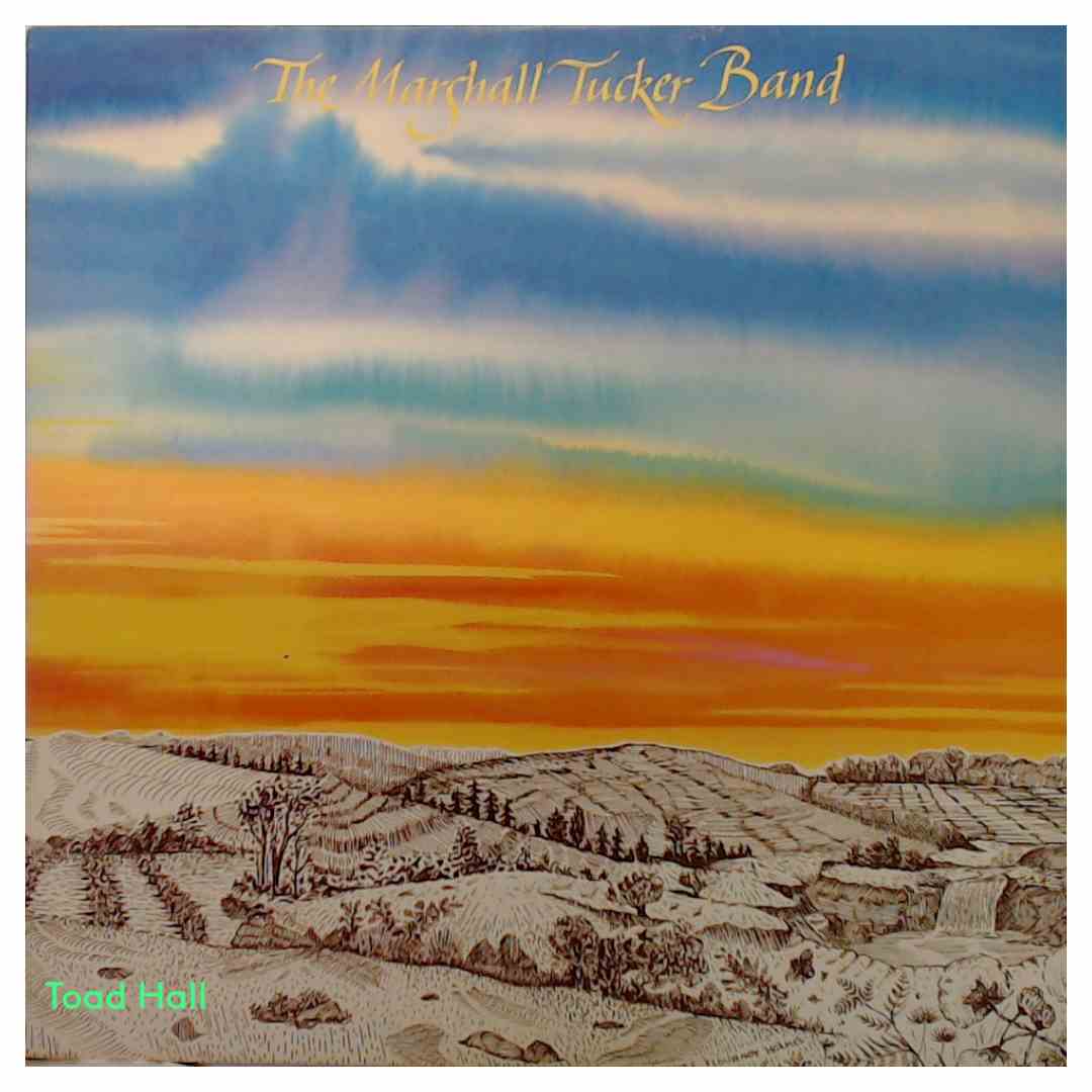 The Marshall Tucker Band - The Marshall Tucker Band - Used Vinyl