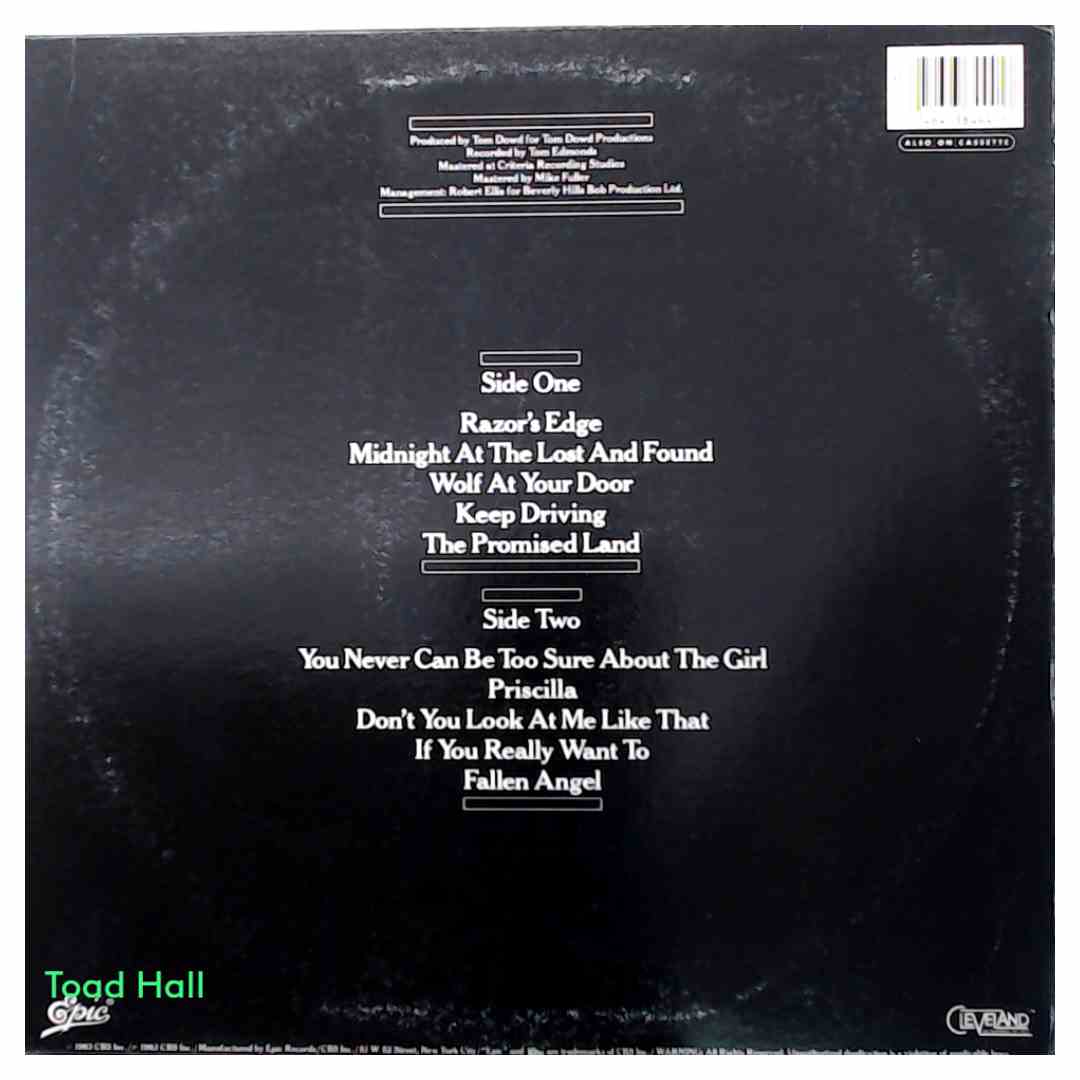Meat Loaf - Midnight At The Lost And Found - Used Vinyl