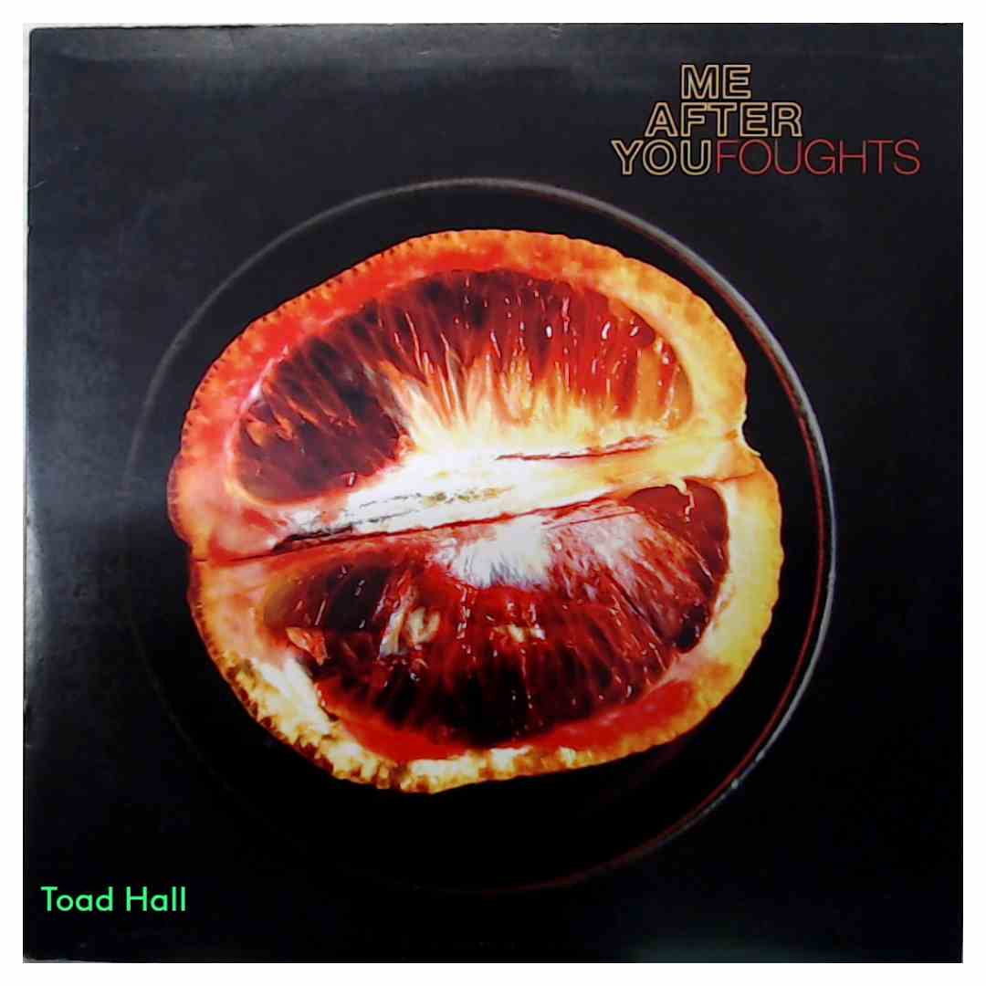 Me After You - Foughts (Orange Vinyl) - Used Vinyl