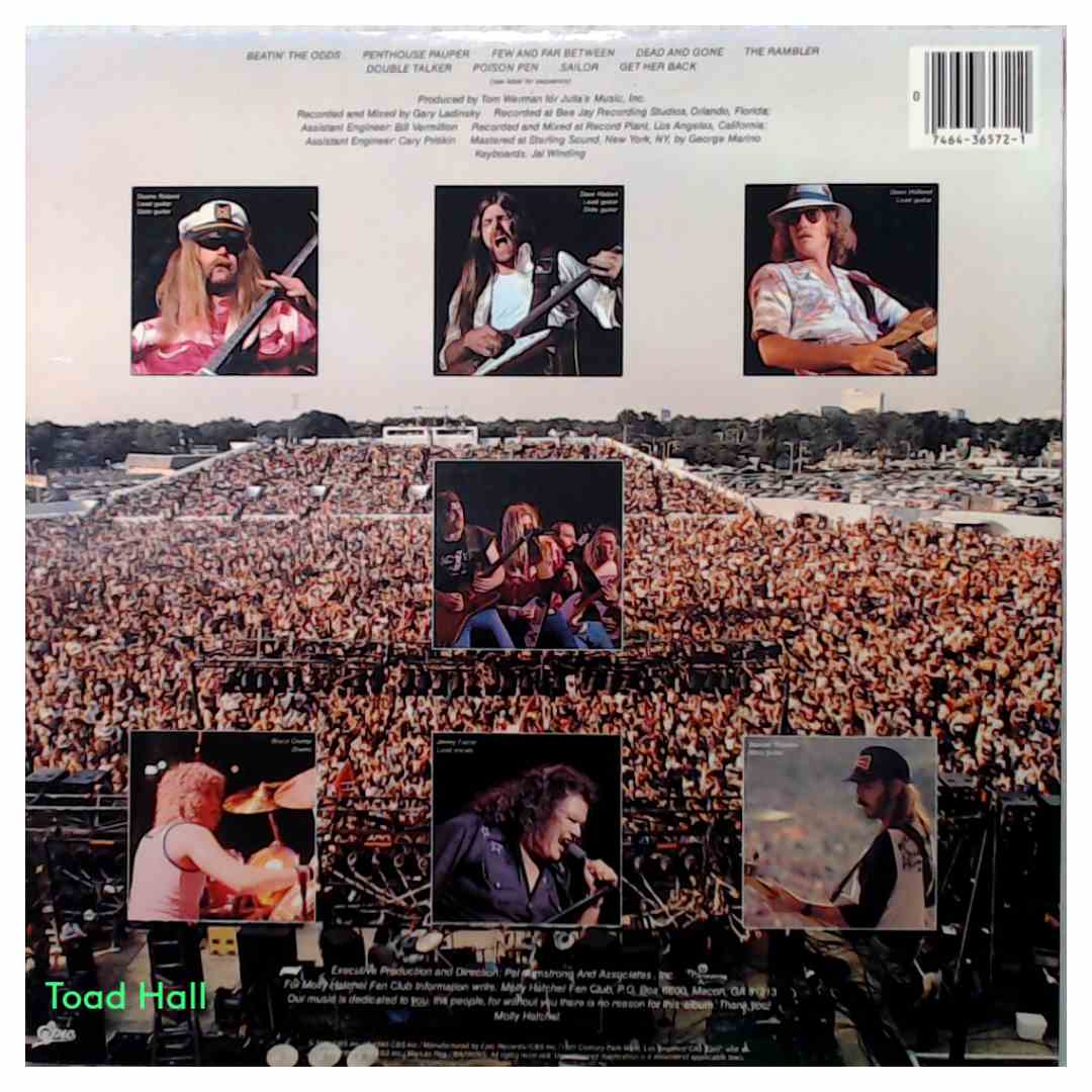 Molly Hatchet Beatin' The Odds Used Vinyl LP Sterling Press