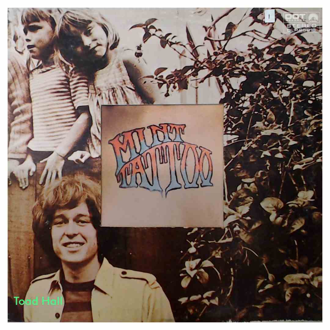 Mint Tattoo - Mint Tattoo - Used Vinyl