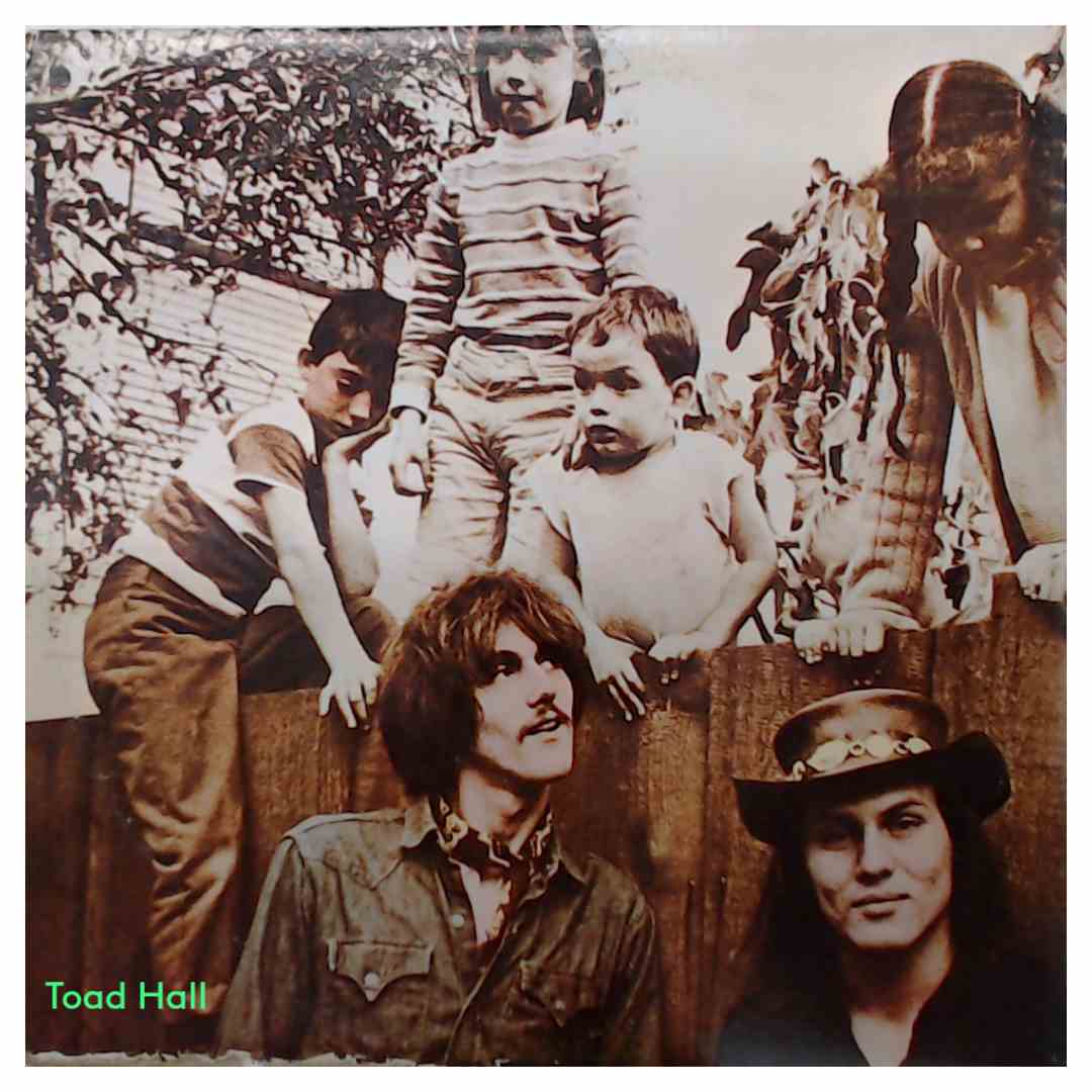 Mint Tattoo - Mint Tattoo - Used Vinyl