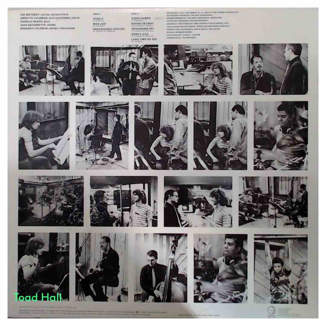 Pat Metheny/Ornette Coleman - Song X - Used Vinyl