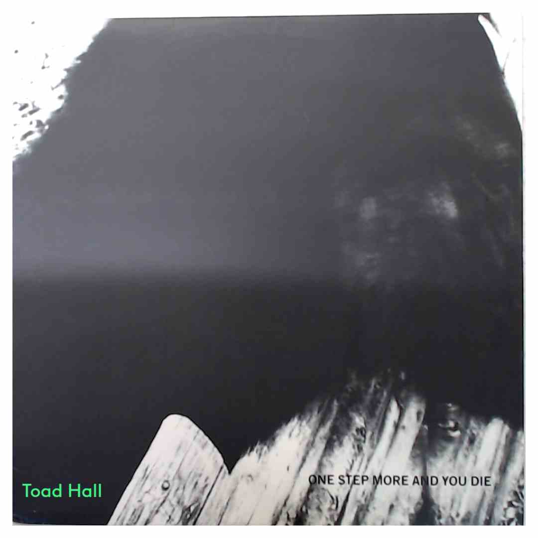 Mono - One More Step and You Die - Used Vinyl