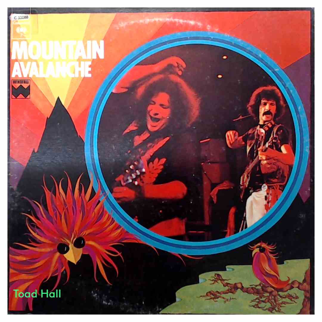 Mountain - Avalanche - Used Vinyl