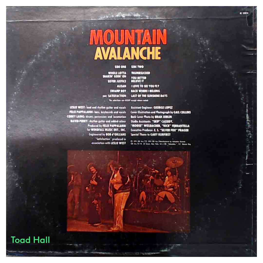 Mountain - Avalanche - Used Vinyl