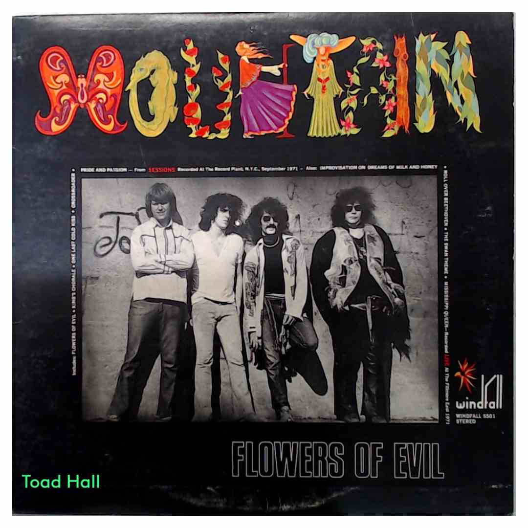 Mountain - Flowers of Evil - Used Vinyl