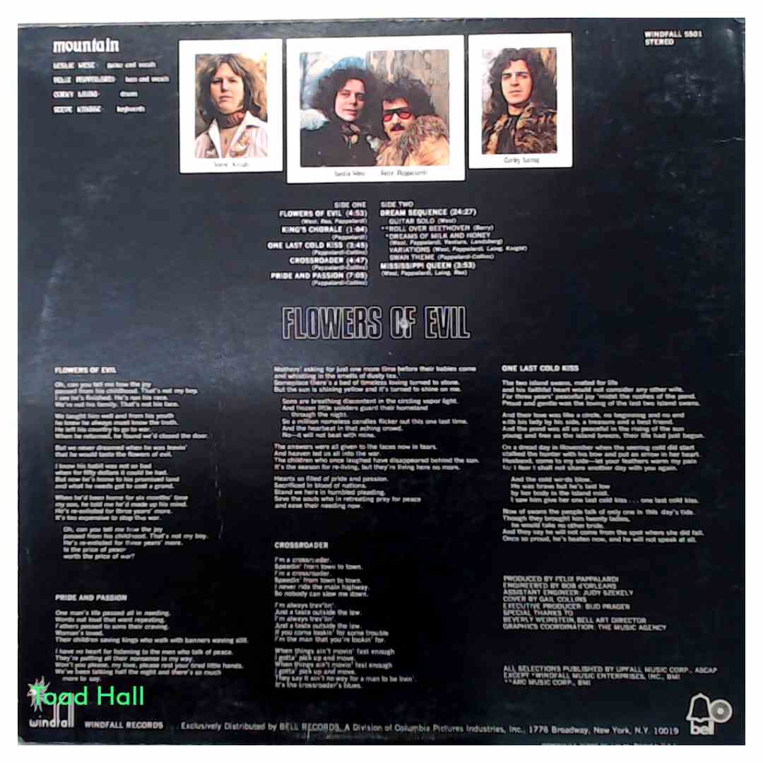 Mountain - Flowers of Evil - Used Vinyl