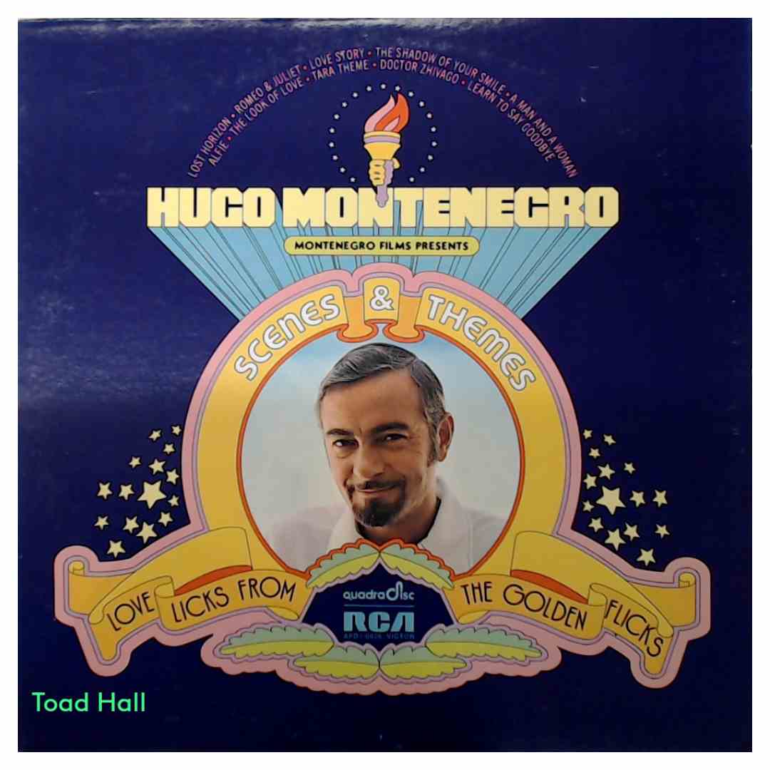 Hugo Montenegro - Scenes And Themes (Quadrophonic) - Used Vinyl
