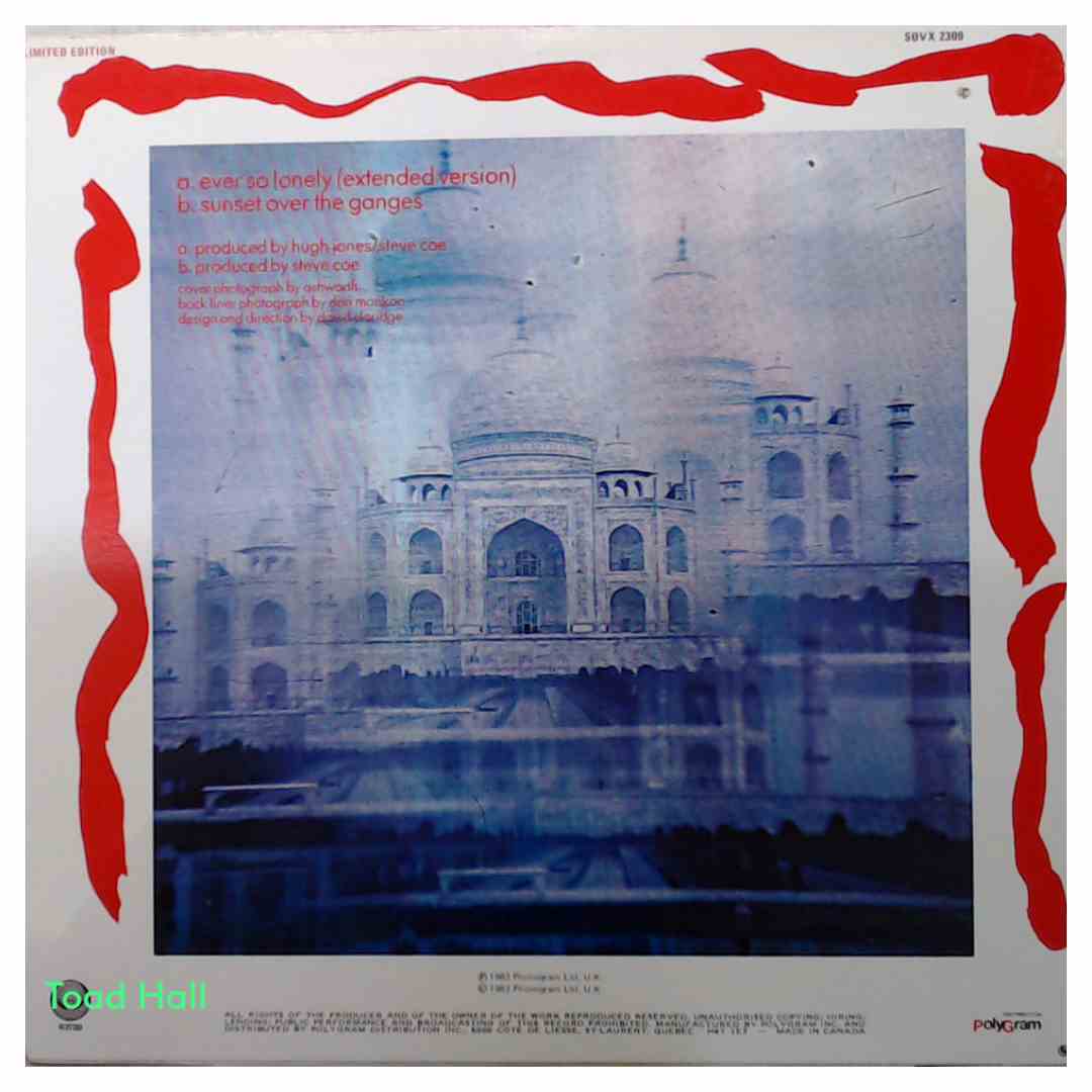 Monsoon - Ever So Lonely - Used Vinyl