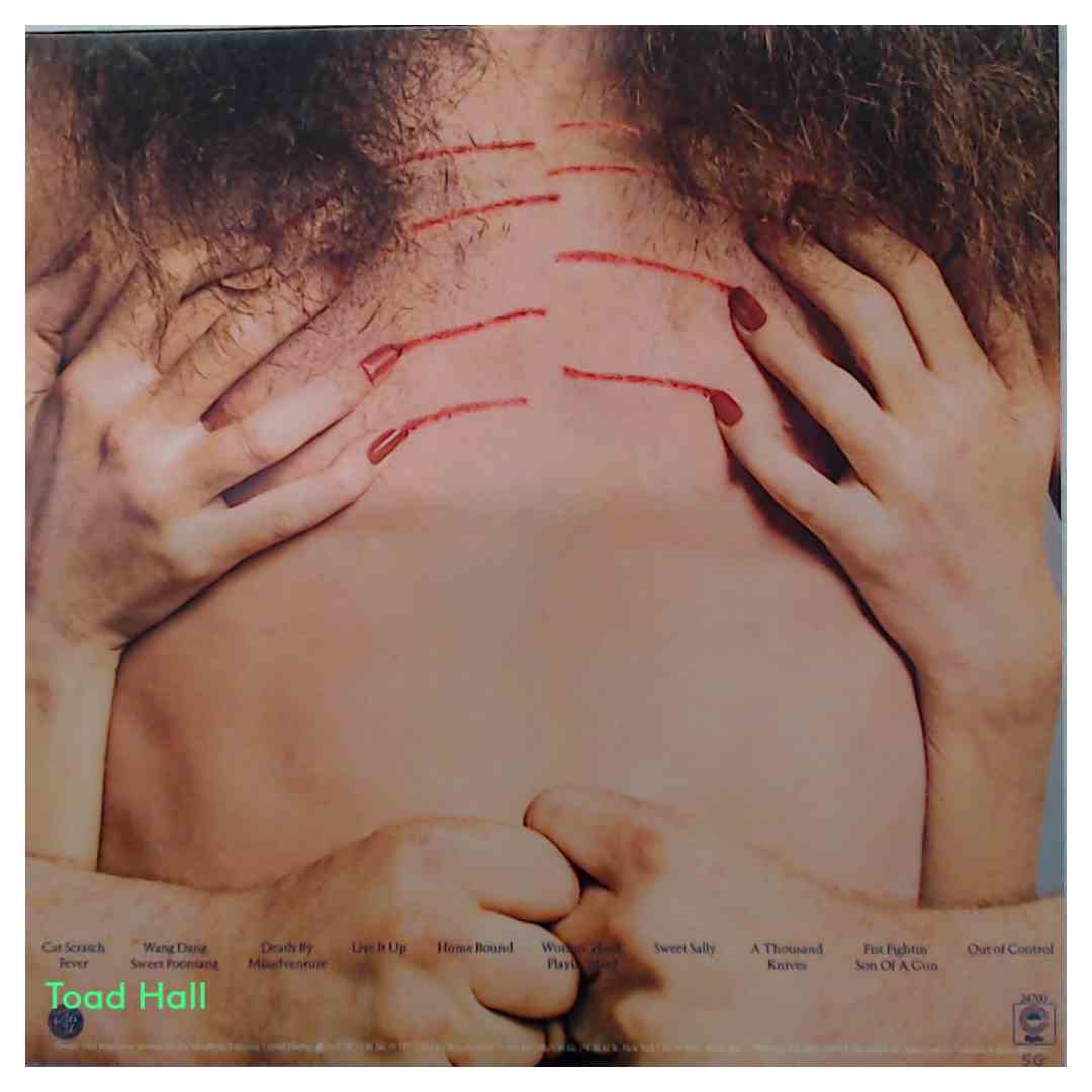 Ted Nugent Cat Scratch Fever Used Vinyl LP Sterling Press