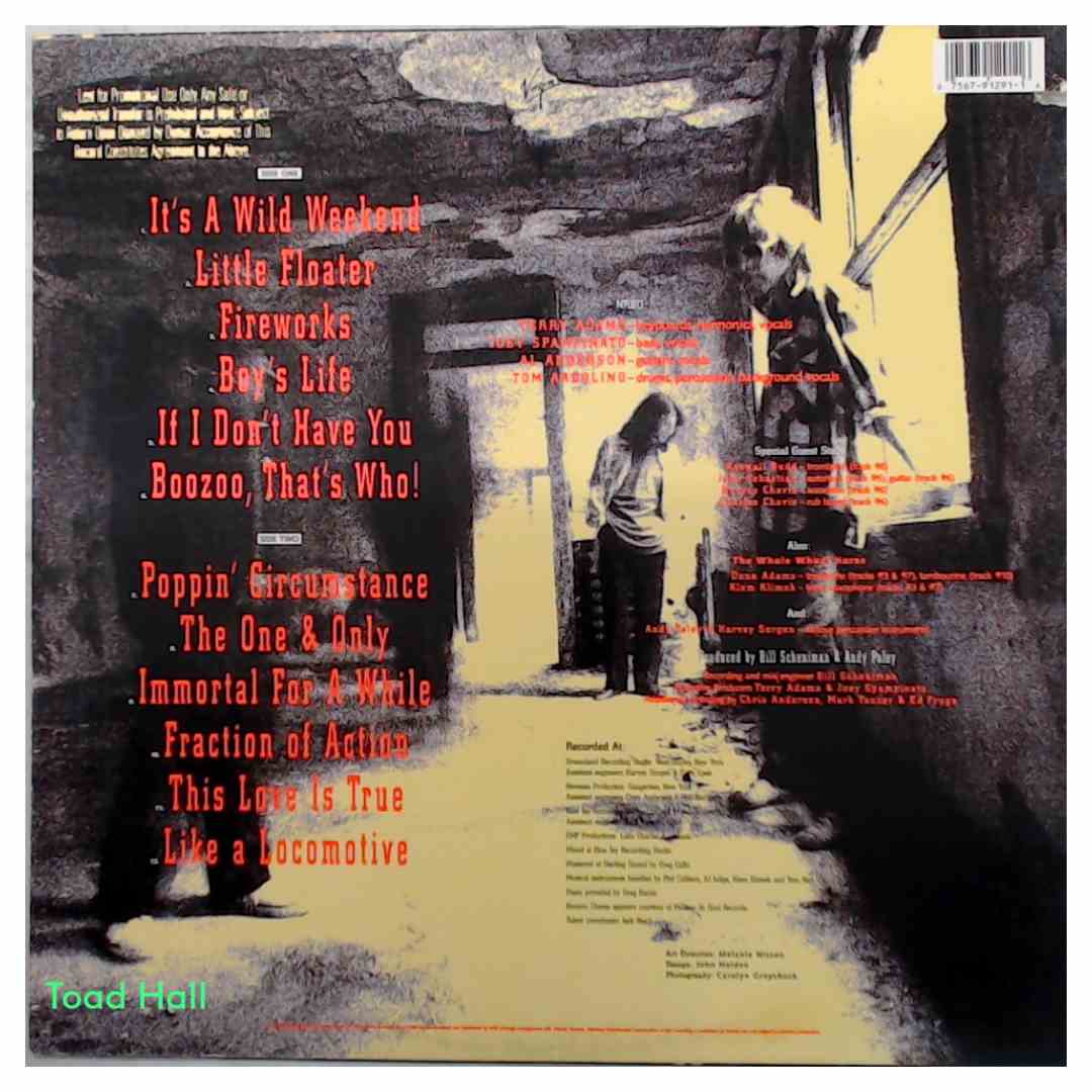 NRBQ - Wild Weekend (Promo Cover) - Used Vinyl