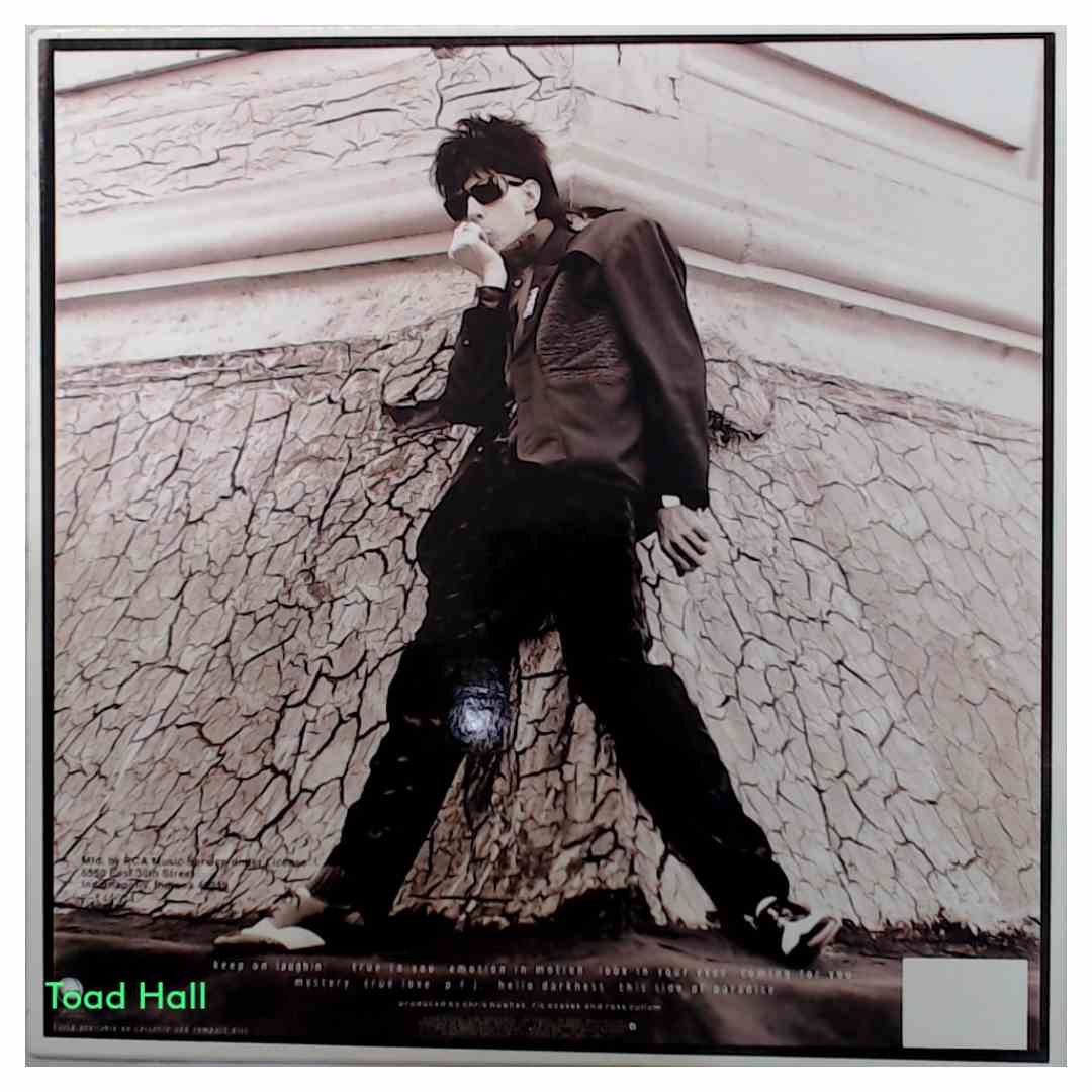 Ric Ocasek - This Side Of Paradise - Used Vinyl