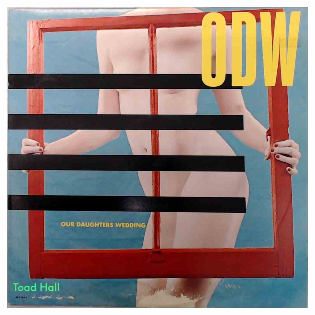 Our Daughter's Wedding - Moving Windows - Used Vinyl