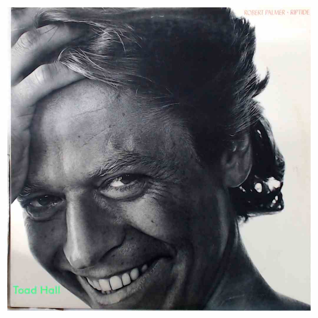 Robert Palmer - Riptide - Used Vinyl