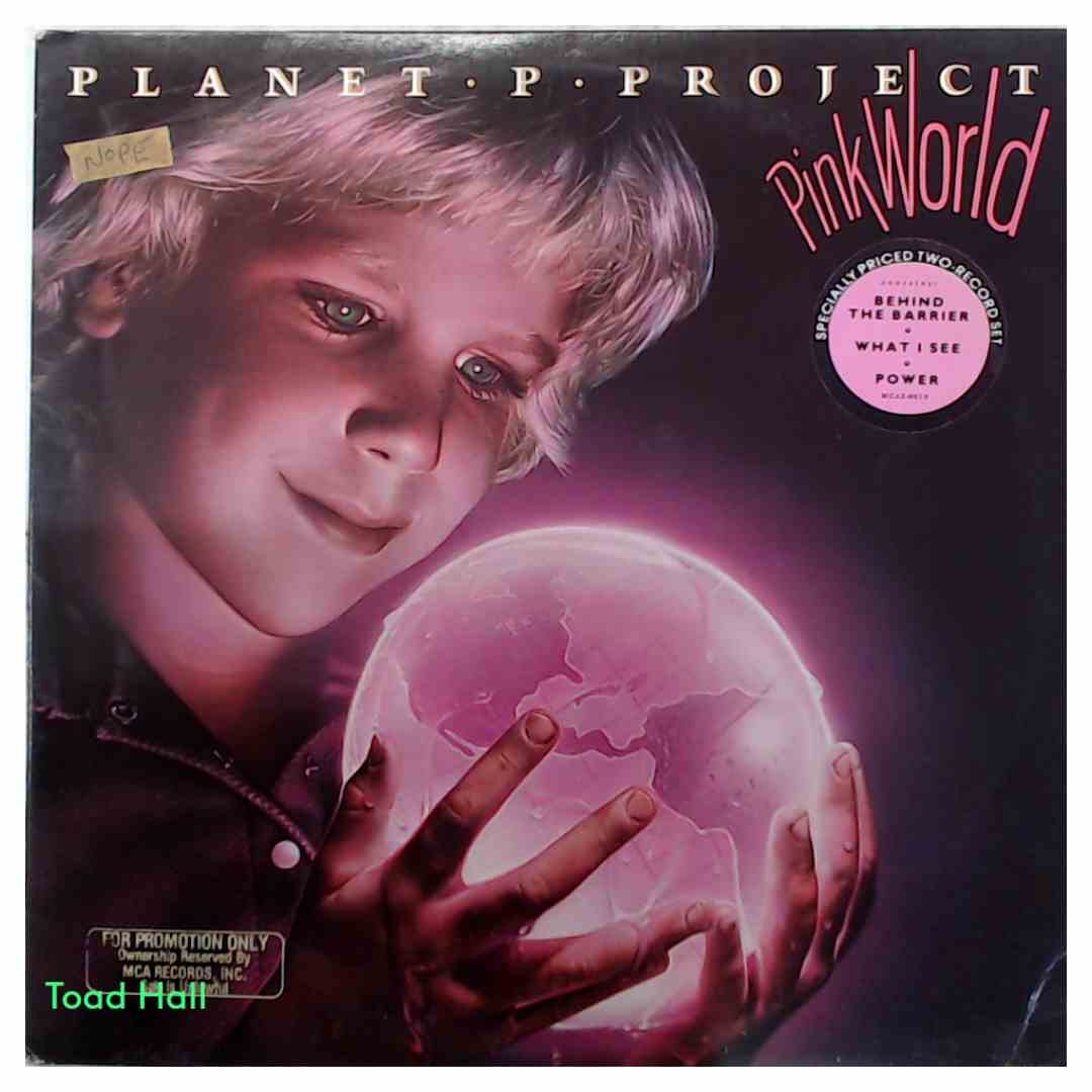 Planet P Project - Pink World (Promo Cover) - Used Vinyl