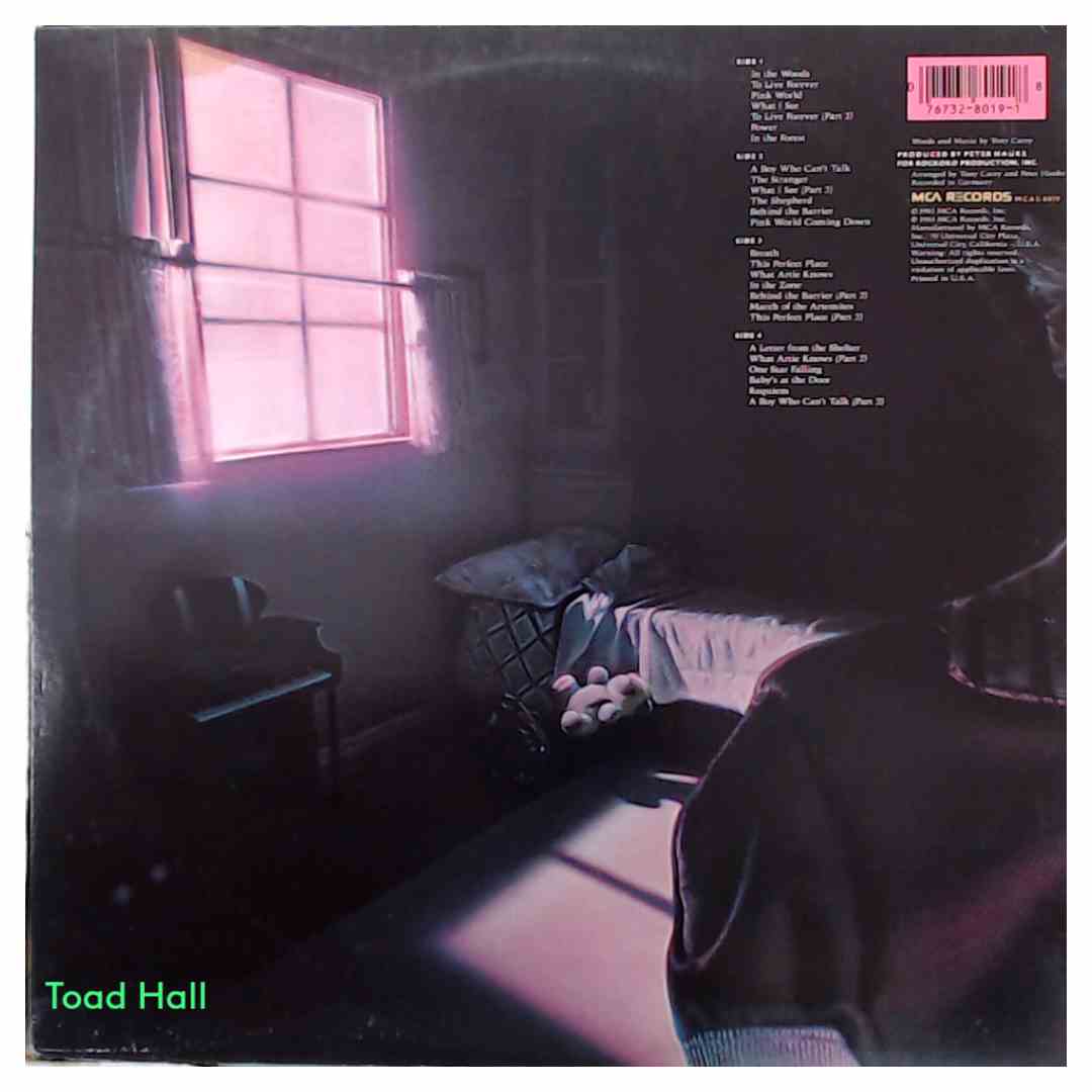 Planet P Project - Pink World (Promo Cover) - Used Vinyl