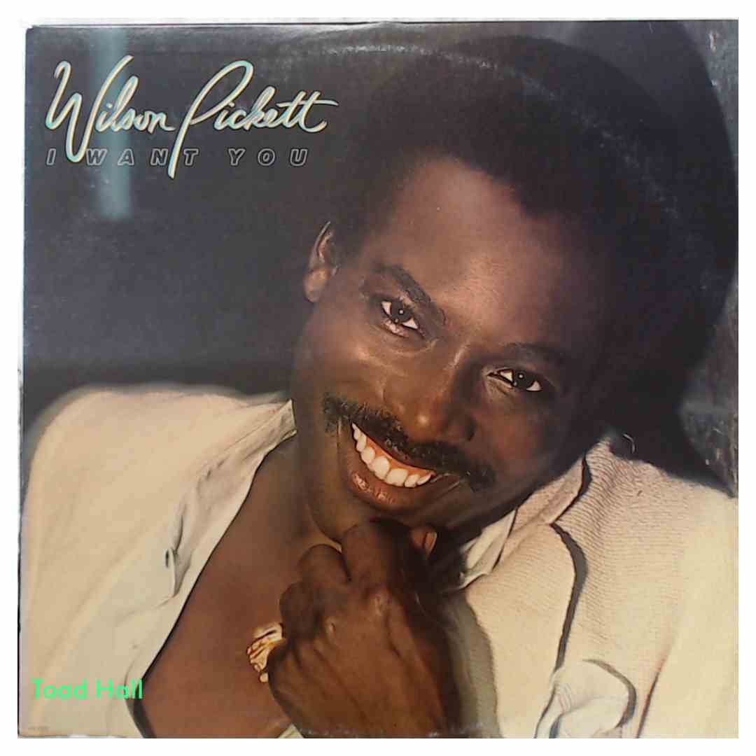 Wilson Pickett - I Want You - Used Vinyl